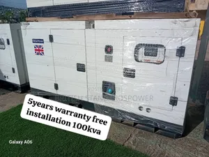 Electrical Craftsmanship 100kva Silent Diesel Generator