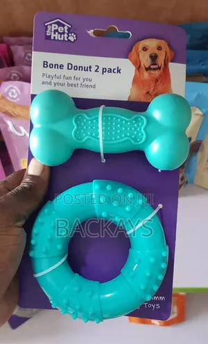 Dog Playing Toy