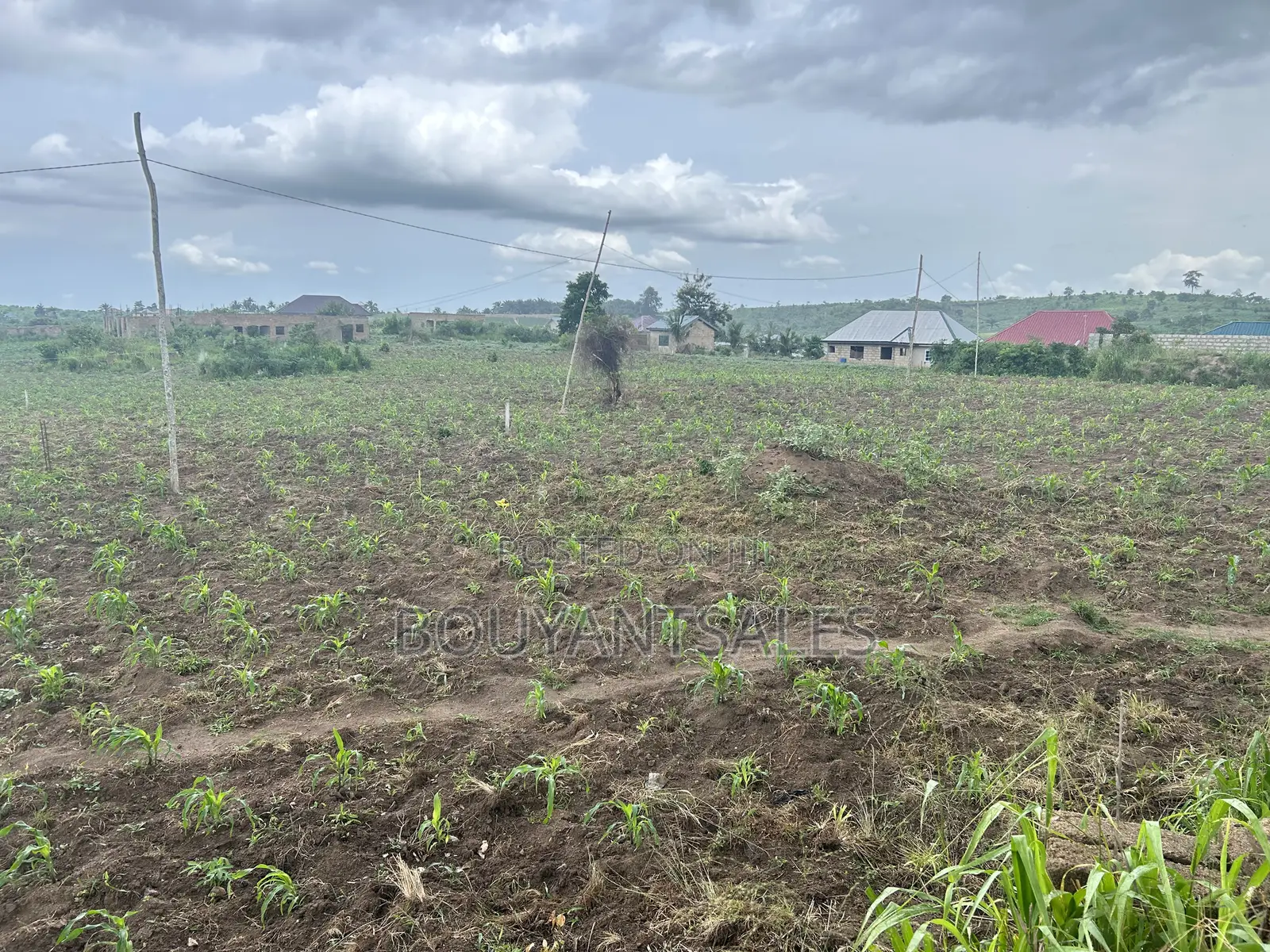 5plots of Land for Sale at Kasoa, New Ntonkrowa