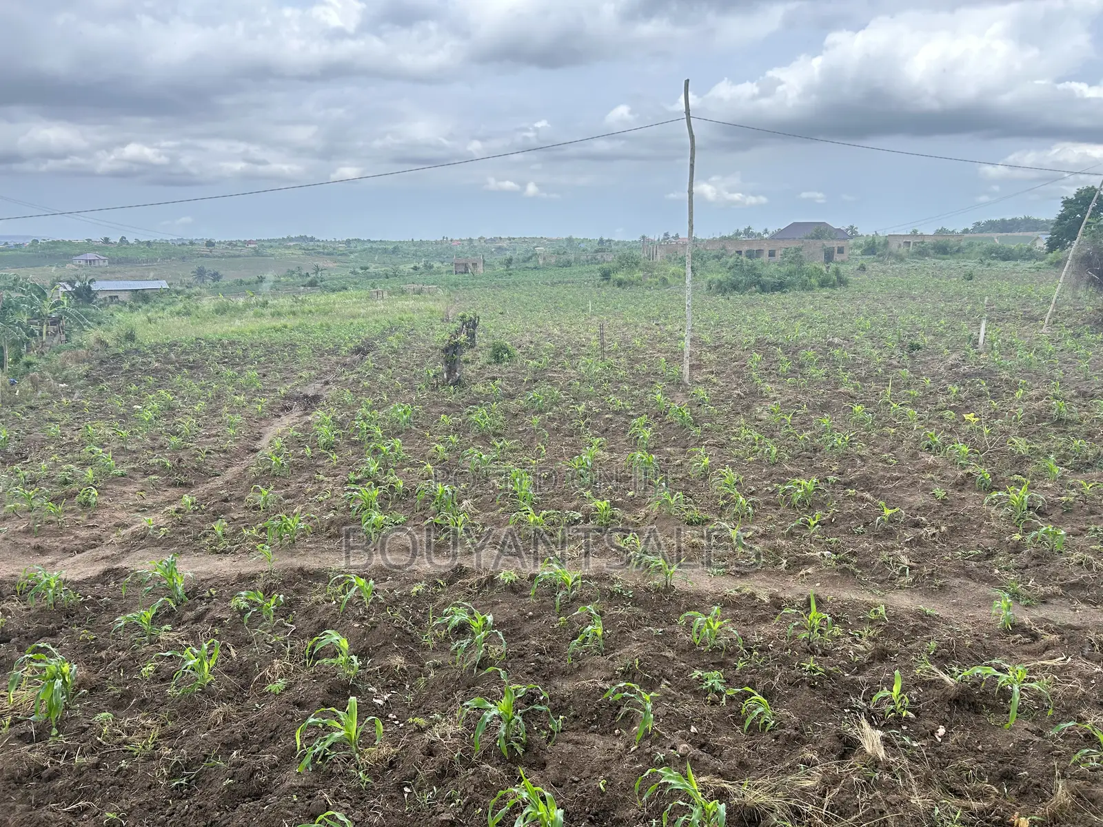 5plots of Land for Sale at Kasoa, New Ntonkrowa