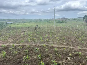 5plots of Land for Sale at Kasoa, New Ntonkrowa