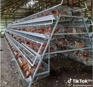 Battery Layers Cage for Sale