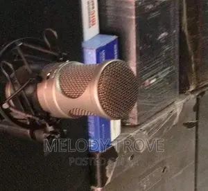 Takstar Sm-8b Studio Condenser Microphone