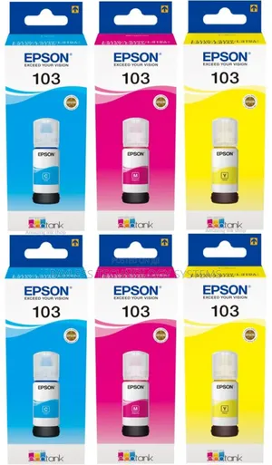 Epson 103 Ink Cartridges
