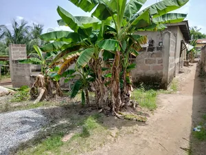 Land Foe Sale at Ejisu Onwe
