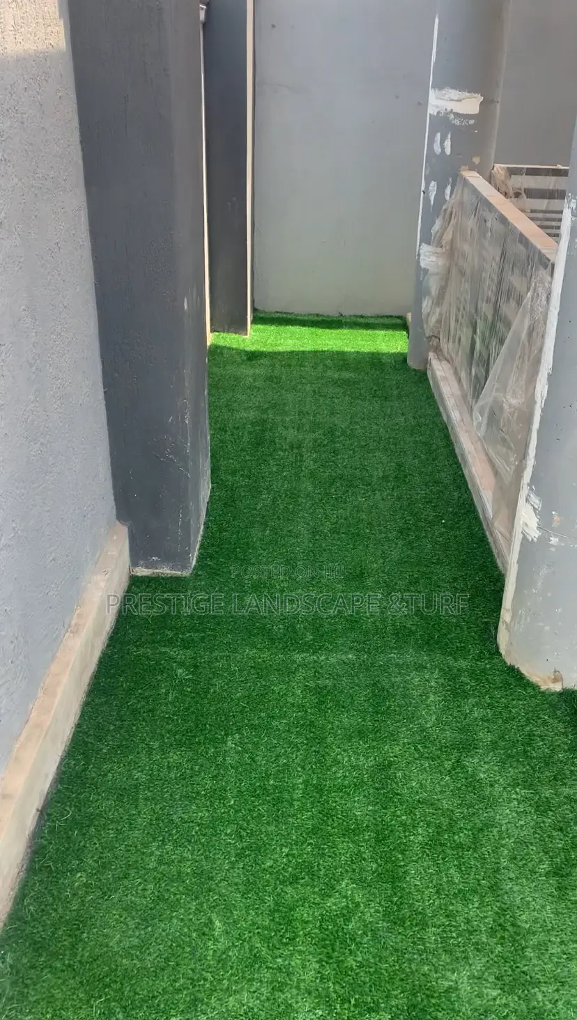 Astro Turf Carpet