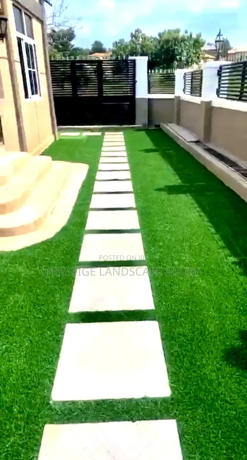 Astro Turf Carpet