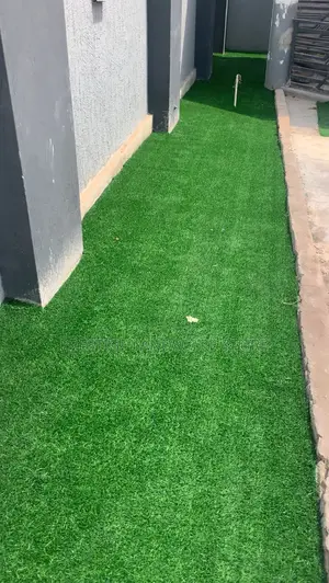 Astro Turf Carpet