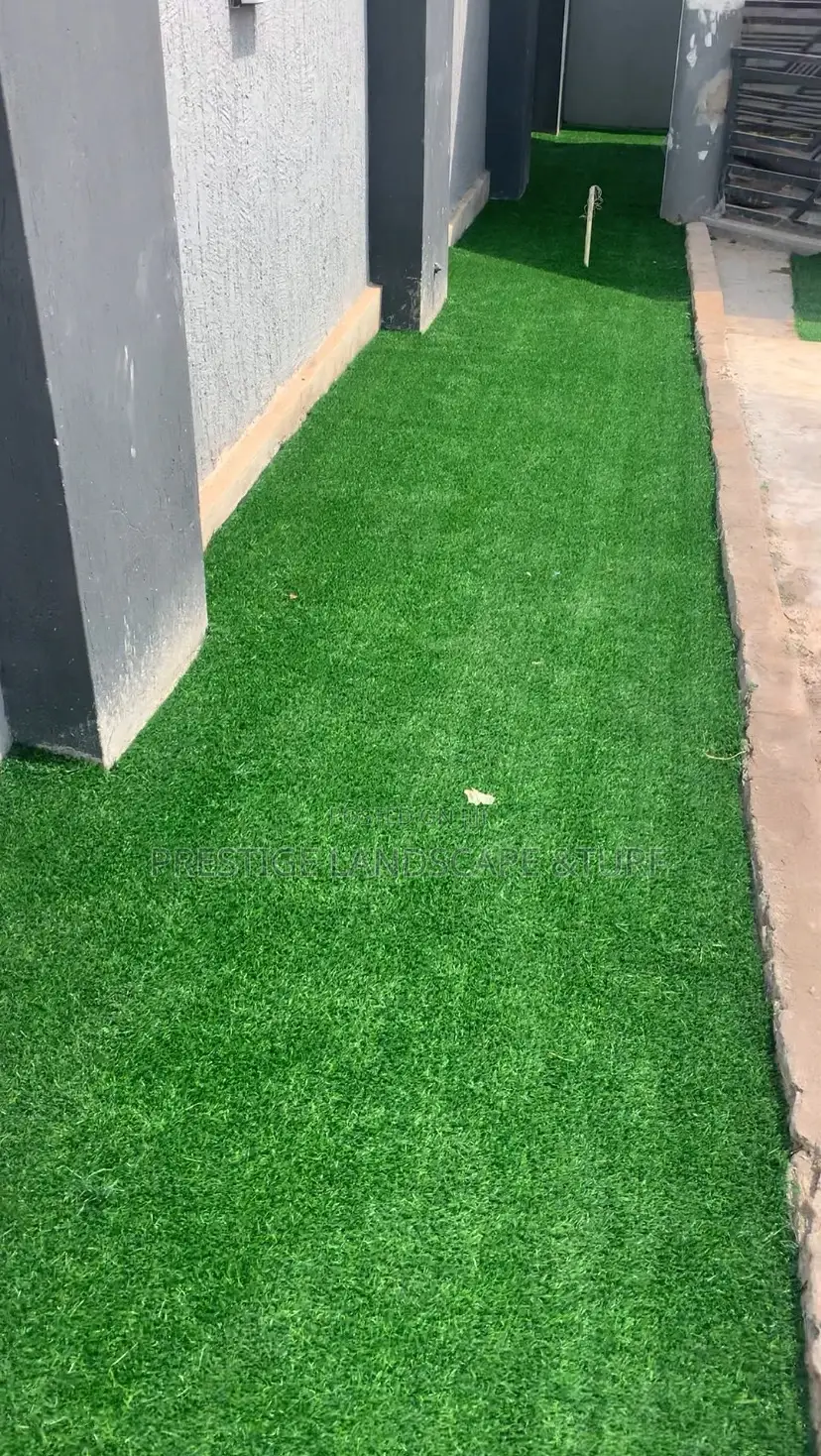 Astro Turf Carpet