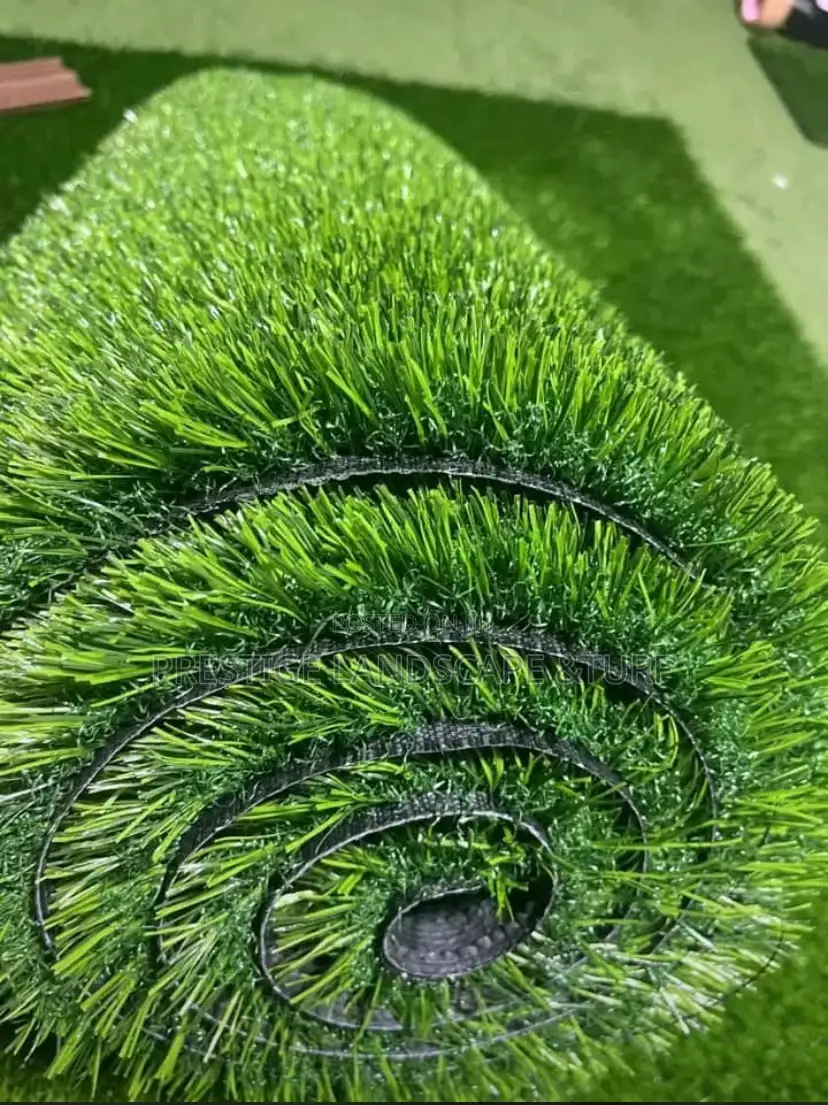 Astro Turf Carpet