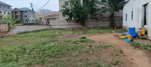 Seth Mensah Properties
