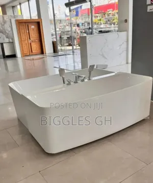 Bathtub With Shower Handles