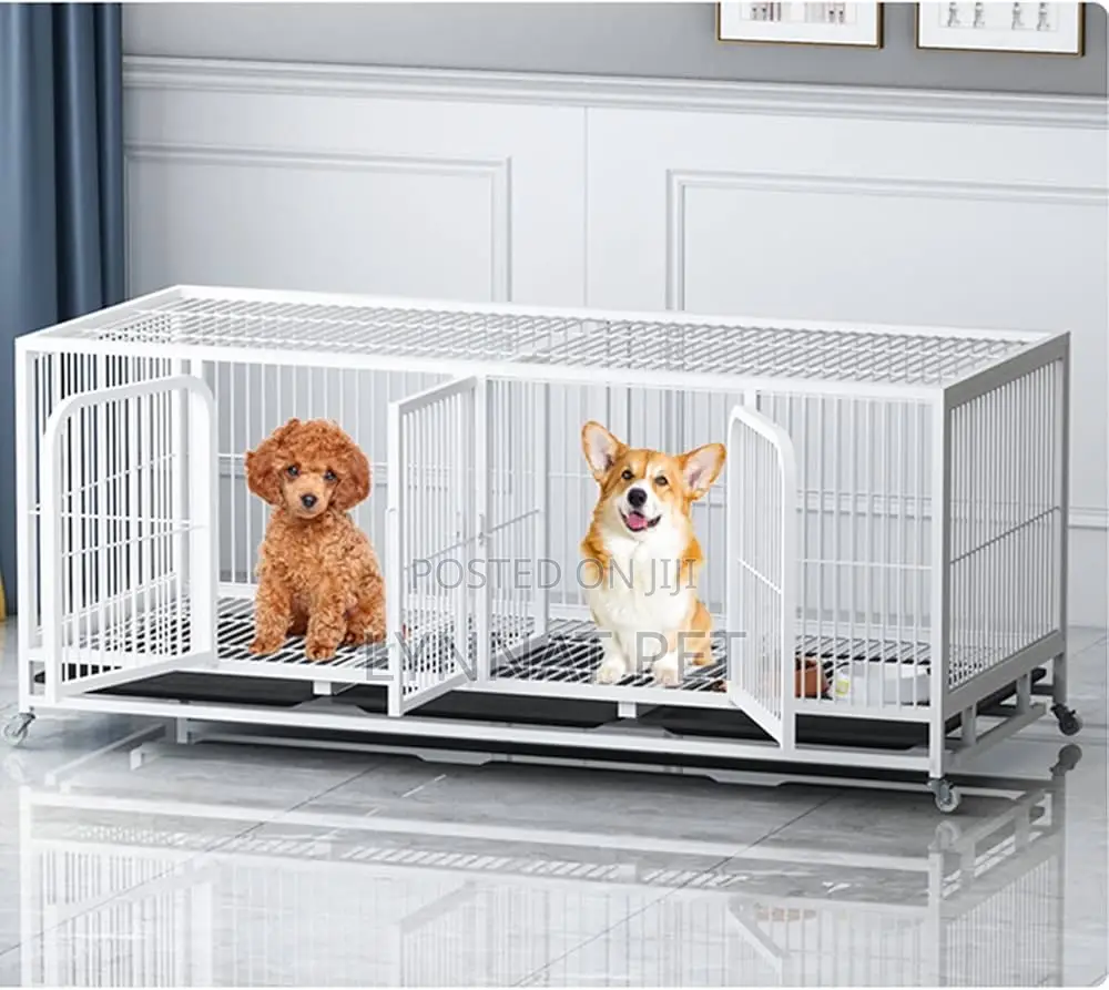 Solid Heavy Cage ( Large )