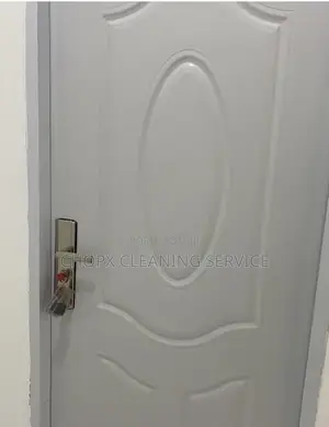 Door Cleaning and Sanitizing for a Good Looking .