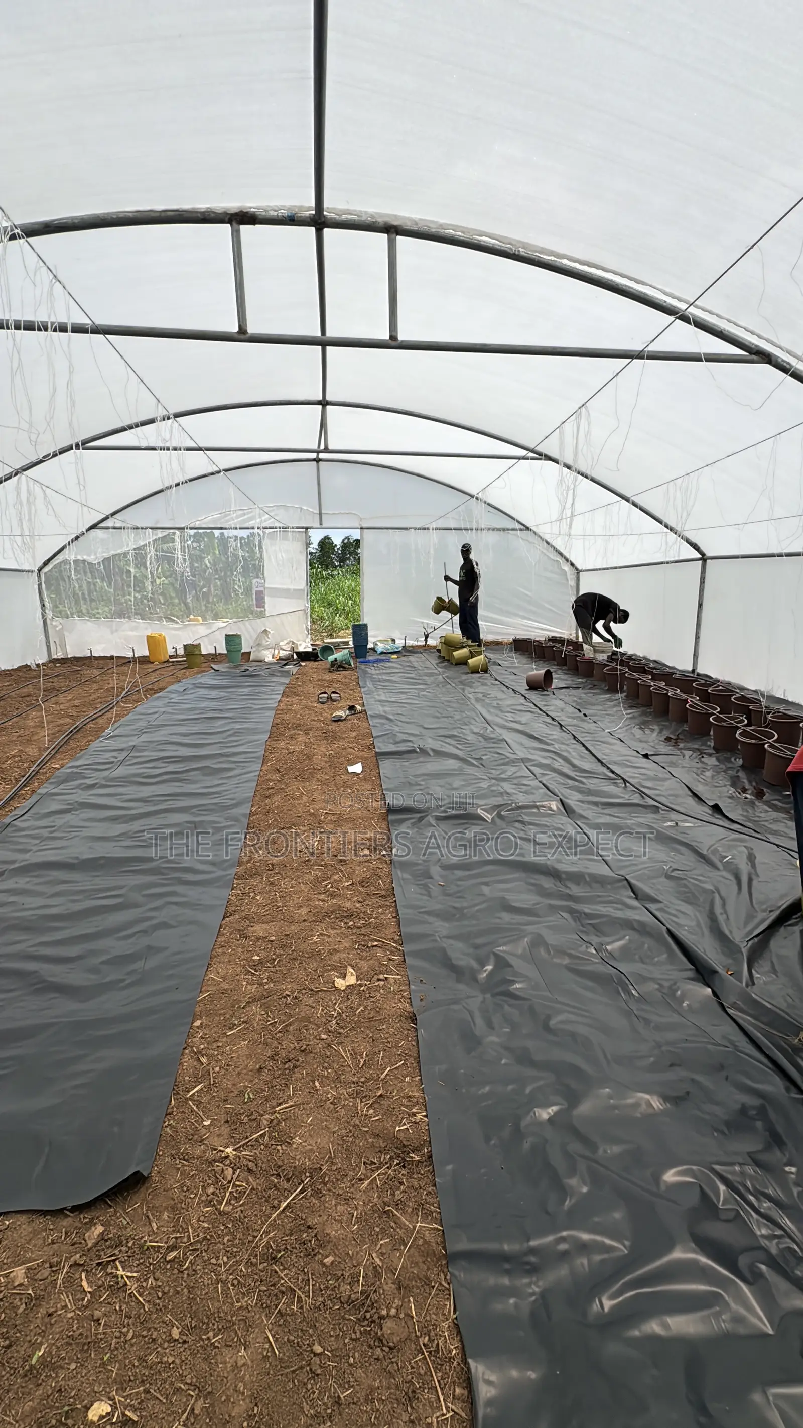 Greenhouse