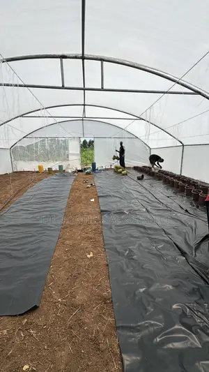Greenhouse