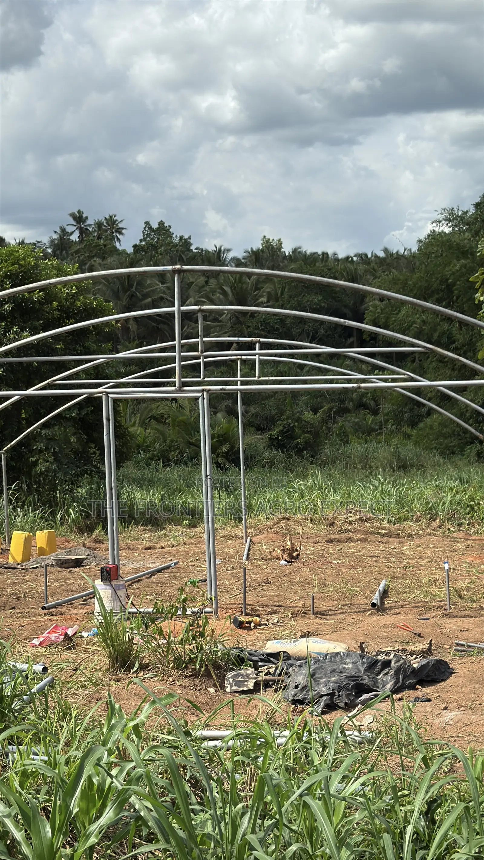 Greenhouse