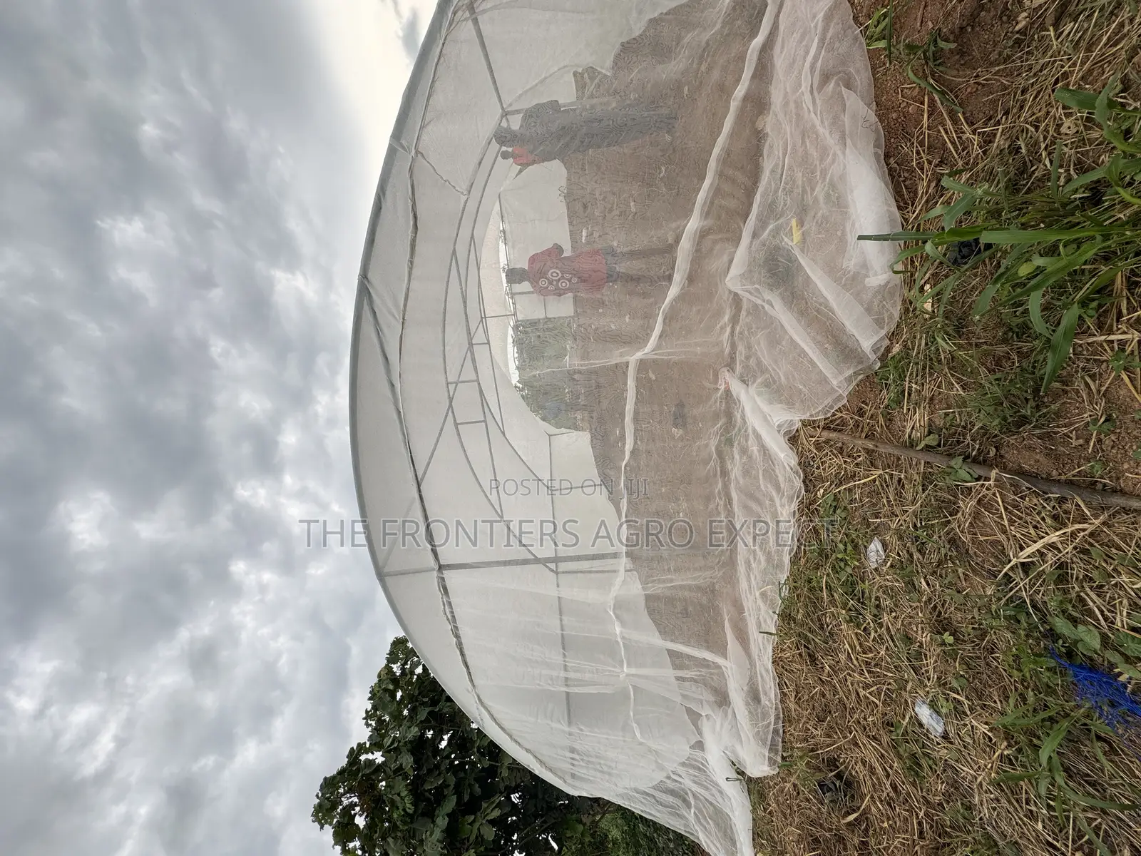 Greenhouse