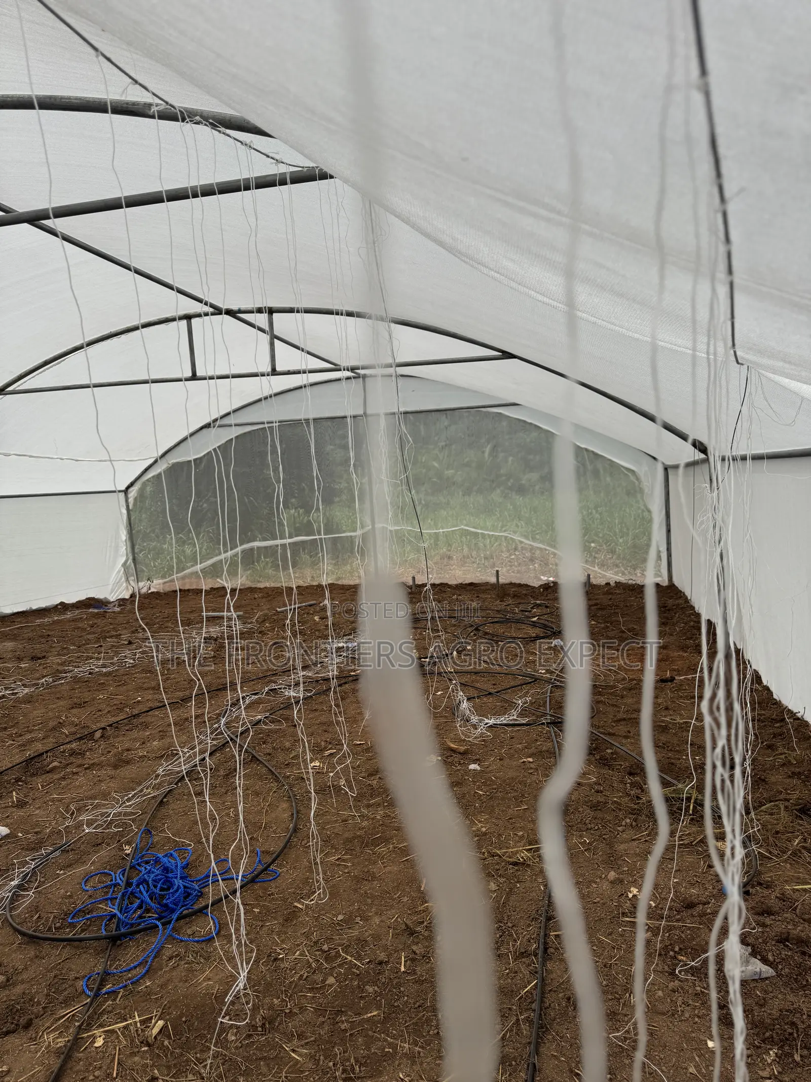 Greenhouse