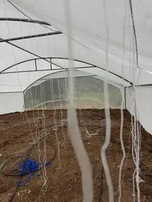 Greenhouse