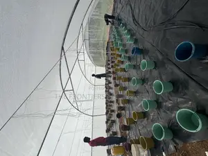 Greenhouse