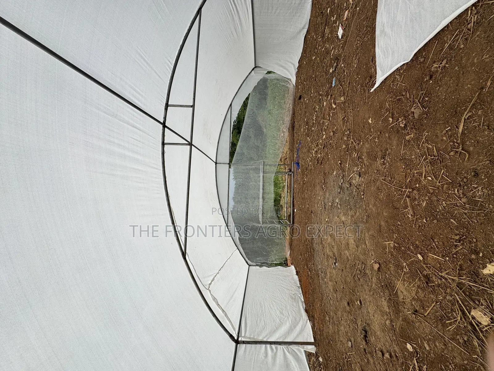 Greenhouse