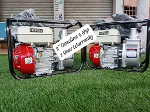 Waterworks Agri Honda 2inches Water Pump