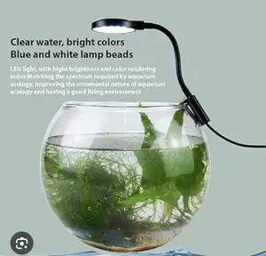 Aquarium Fish Bowl Light