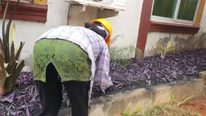 Flowers Masters