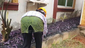 Flowers Masters