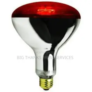 Poultry Heater Bulbs And Holders,250w &More