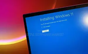 Windows 11 Installation With Original Lifetime License Key