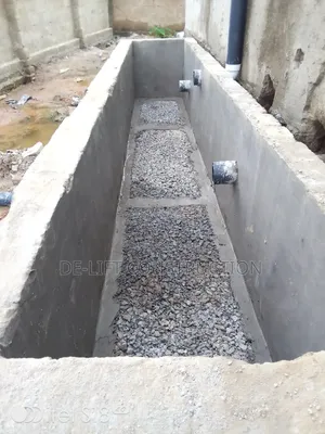 Are Looking for a Large Biodigester System?