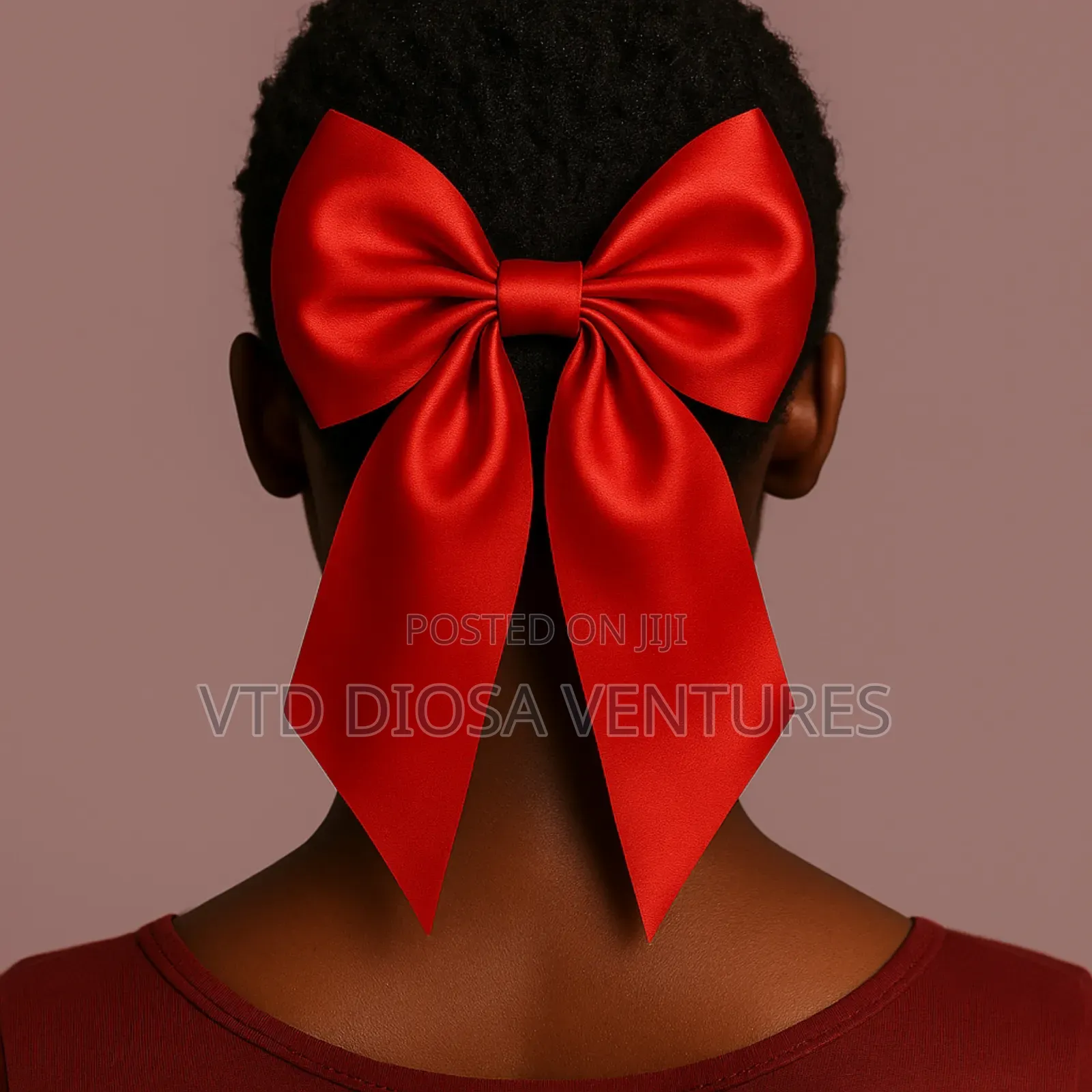 Luxury Hair Ribbon With Clips Bow Nots