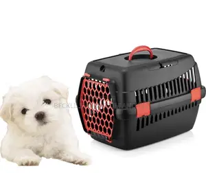 Richell Pet Travel Carrier