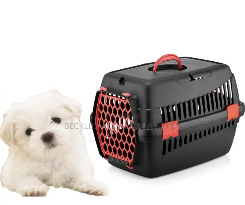 Richell Pet Travel Carrier