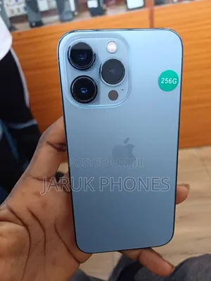 Apple iPhone 13 Pro 256 GB Gray