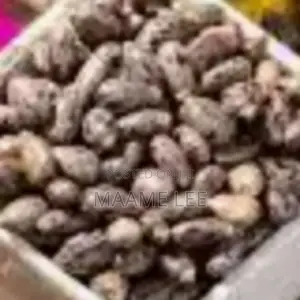 Castor Seed