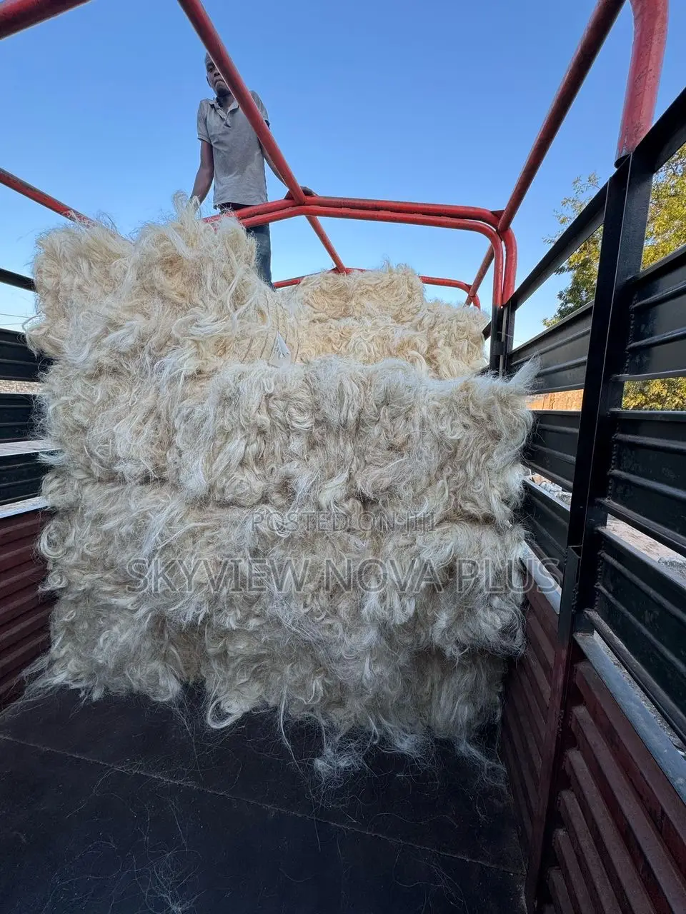 Pop Fiber Sisal