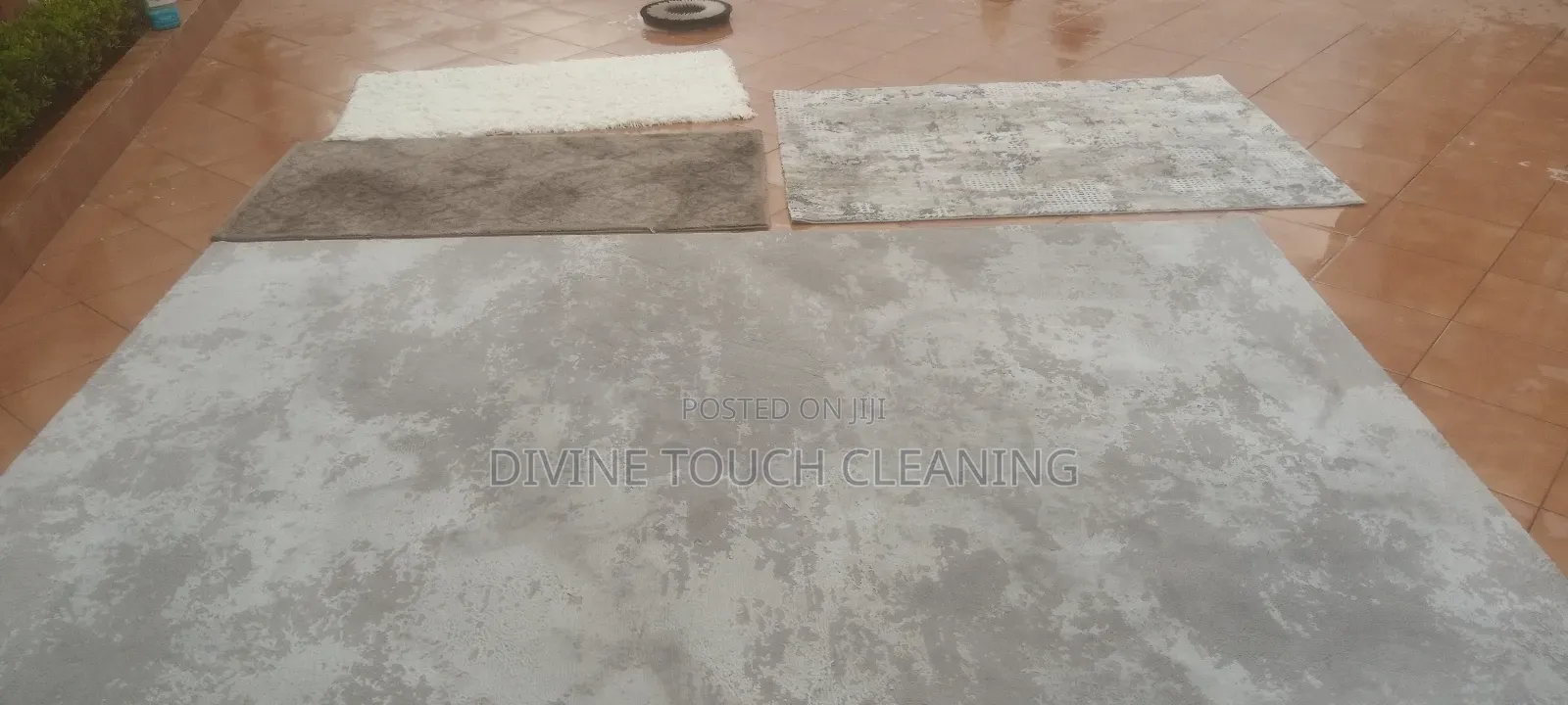 Divine Touch Carpet Washing