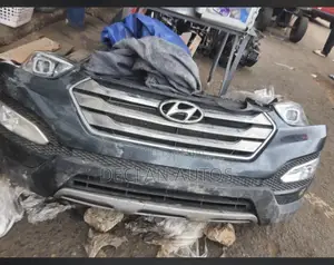 Hyundai Santa-fe 15 Cut