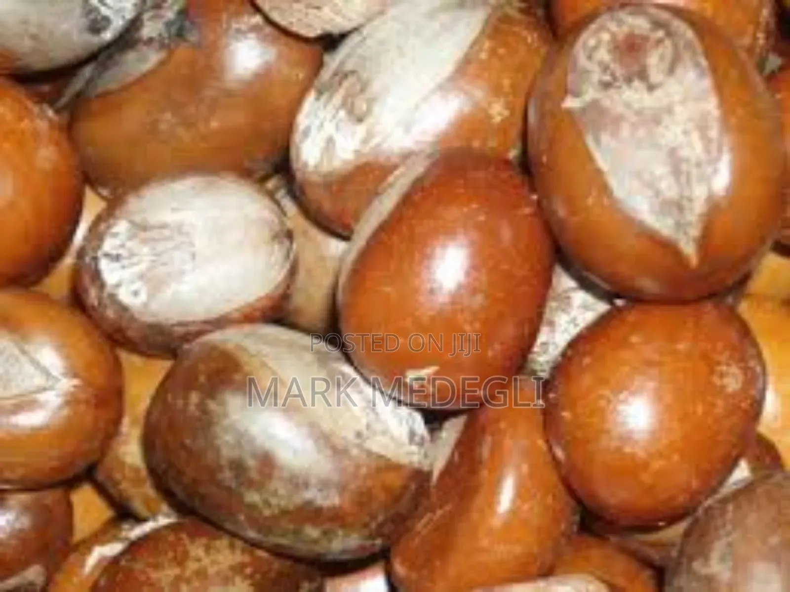 We Are Accepting Orders for the New Season Shea Nuts.