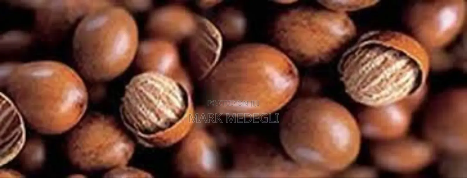 We Are Accepting Orders for the New Season Shea Nuts.