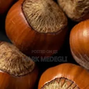 We Are Accepting Orders for the New Season Shea Nuts.