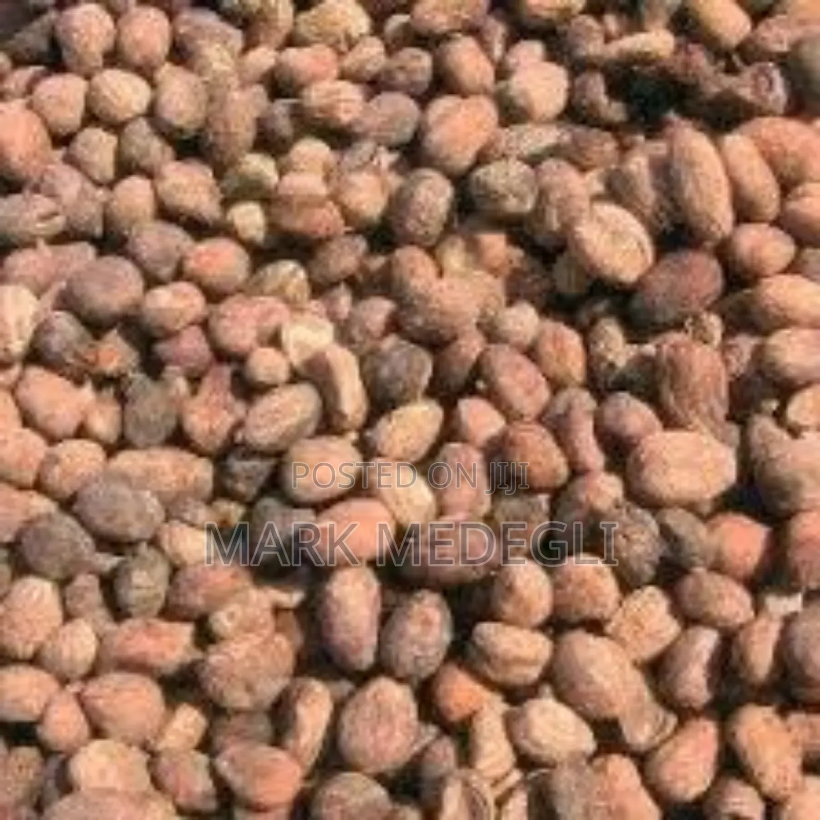 We Are Accepting Orders for the New Season Shea Nuts.