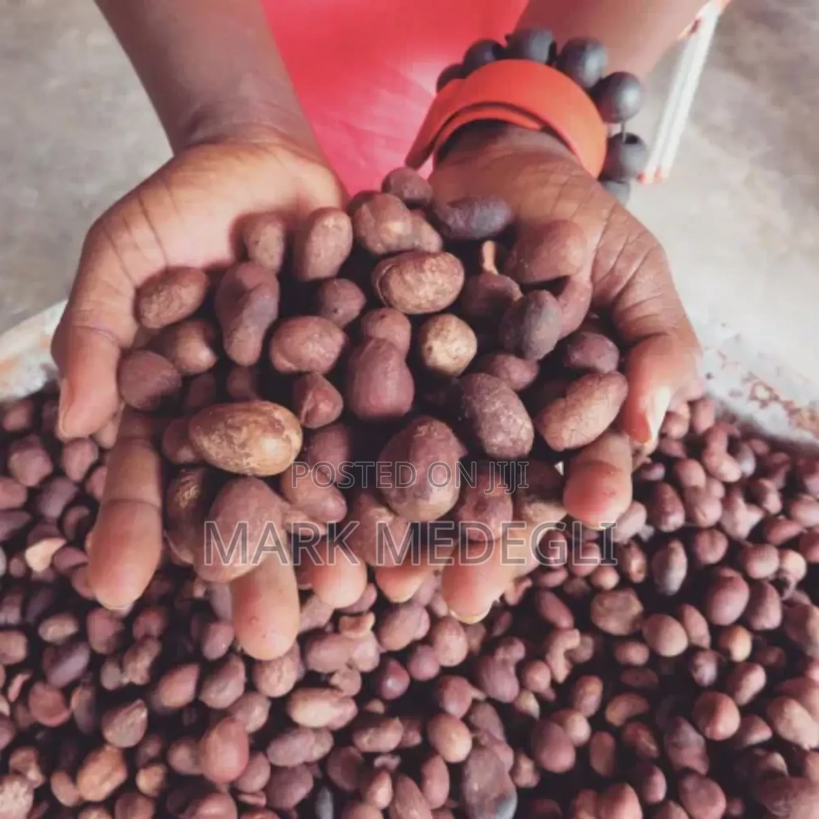We Are Accepting Orders for the New Season Shea Nuts.