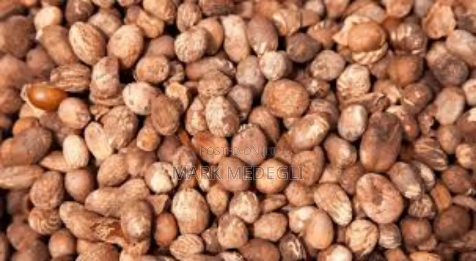 We Are Accepting Orders for the New Season Shea Nuts.
