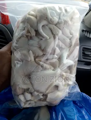 Fresh Organic Oyster Mushrooms