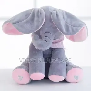 Peek a Boo Electronic Musical Toy Gift