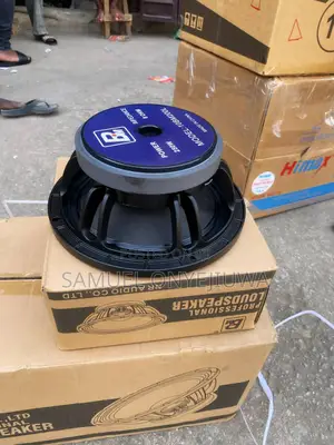 10 Inches Naked Speaker Big Magnet 8ohms. A Pair